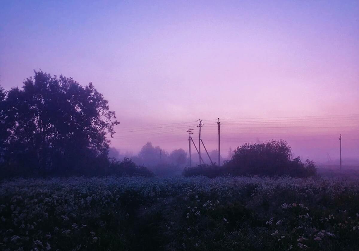 im电竞官网：开启你的全新电竞世界