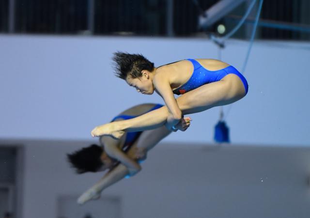 足球比分直播-世界杯全红婵完成金牌大满贯 将冲击三大赛第五金